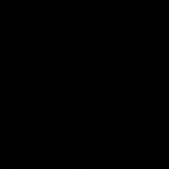 Meet your Posher, Sasha - Picture 1 of 1